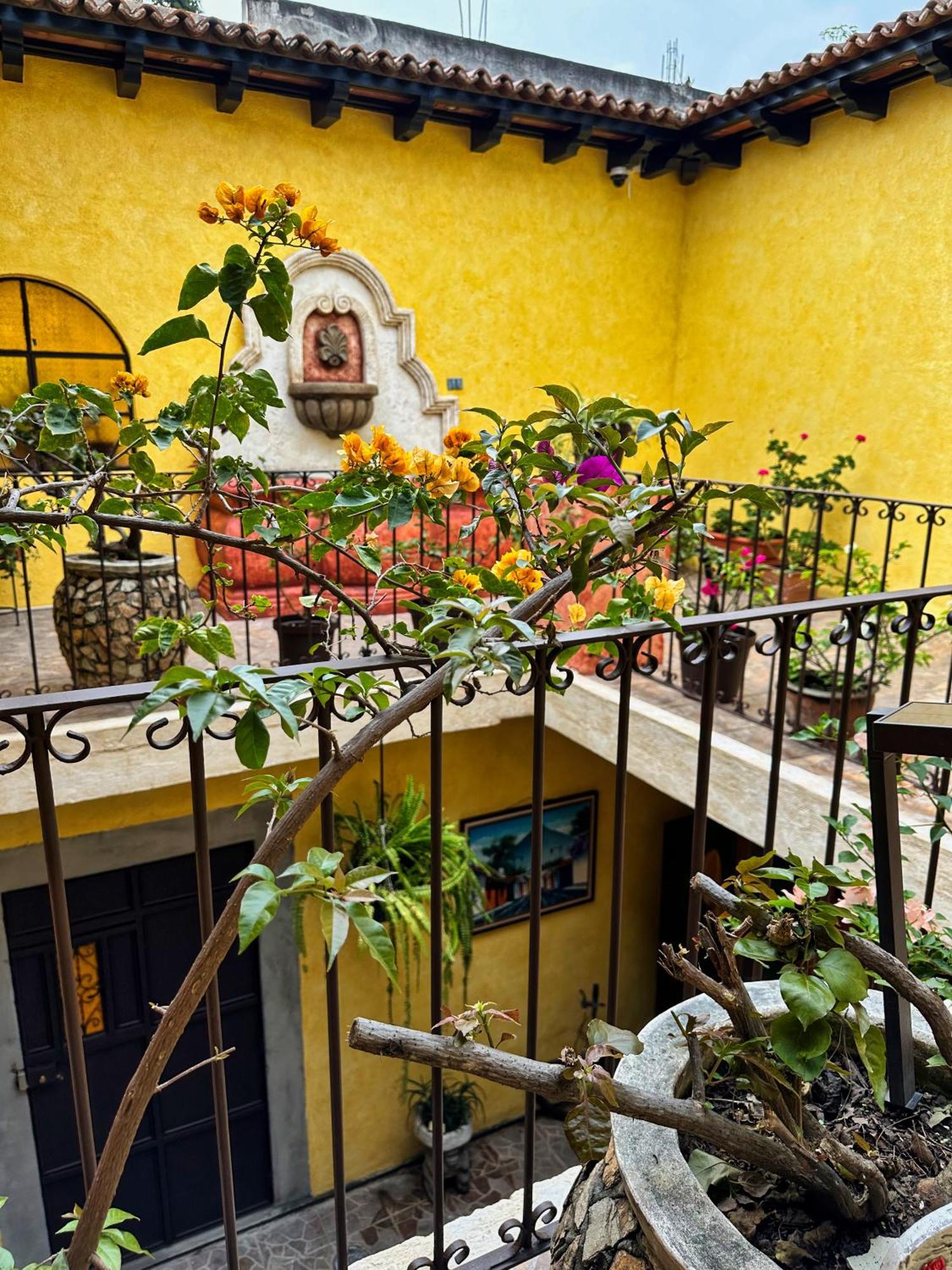 Maison Bougainvillea Antigua Zewnętrze zdjęcie