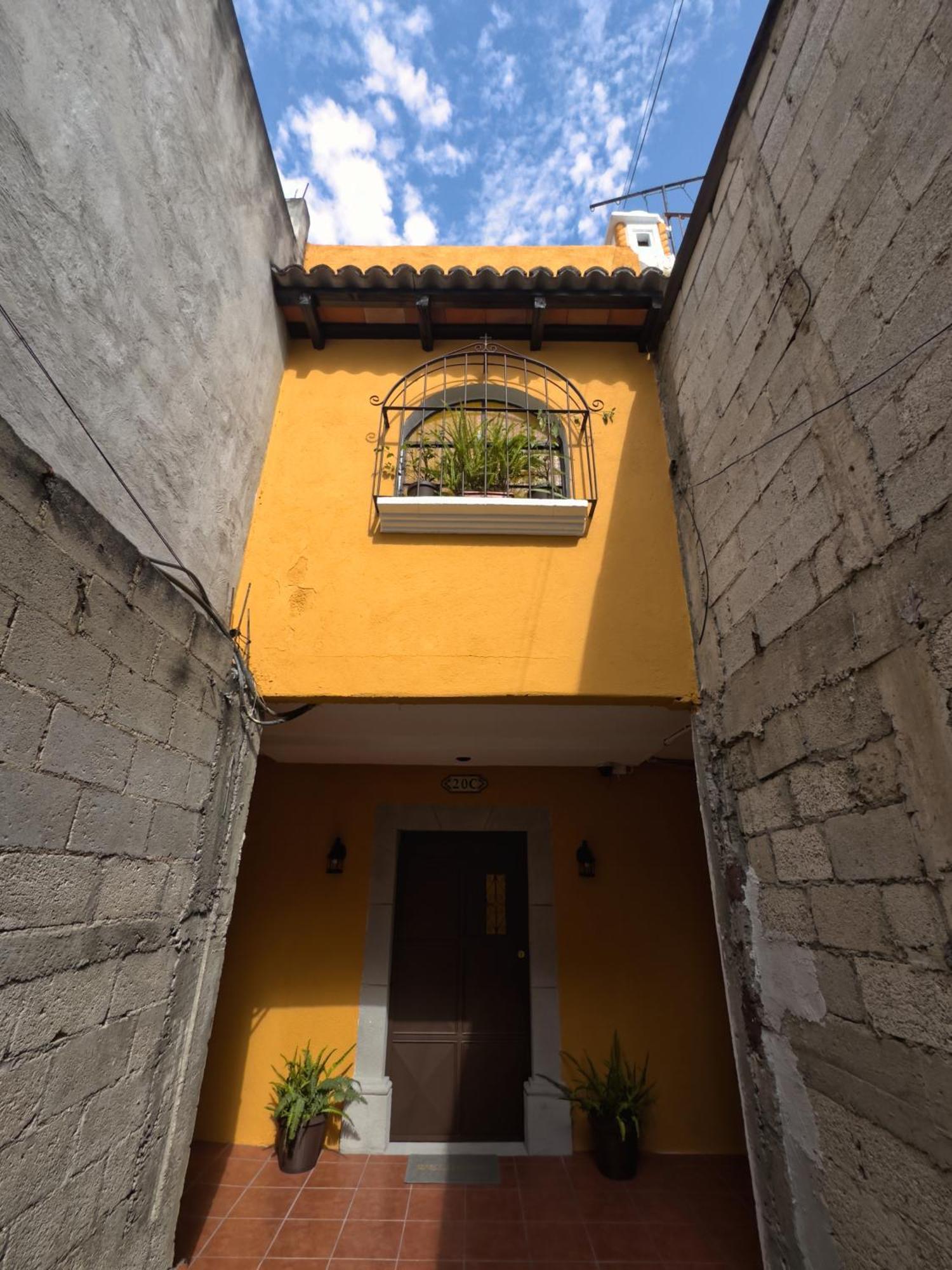 Maison Bougainvillea Antigua Zewnętrze zdjęcie