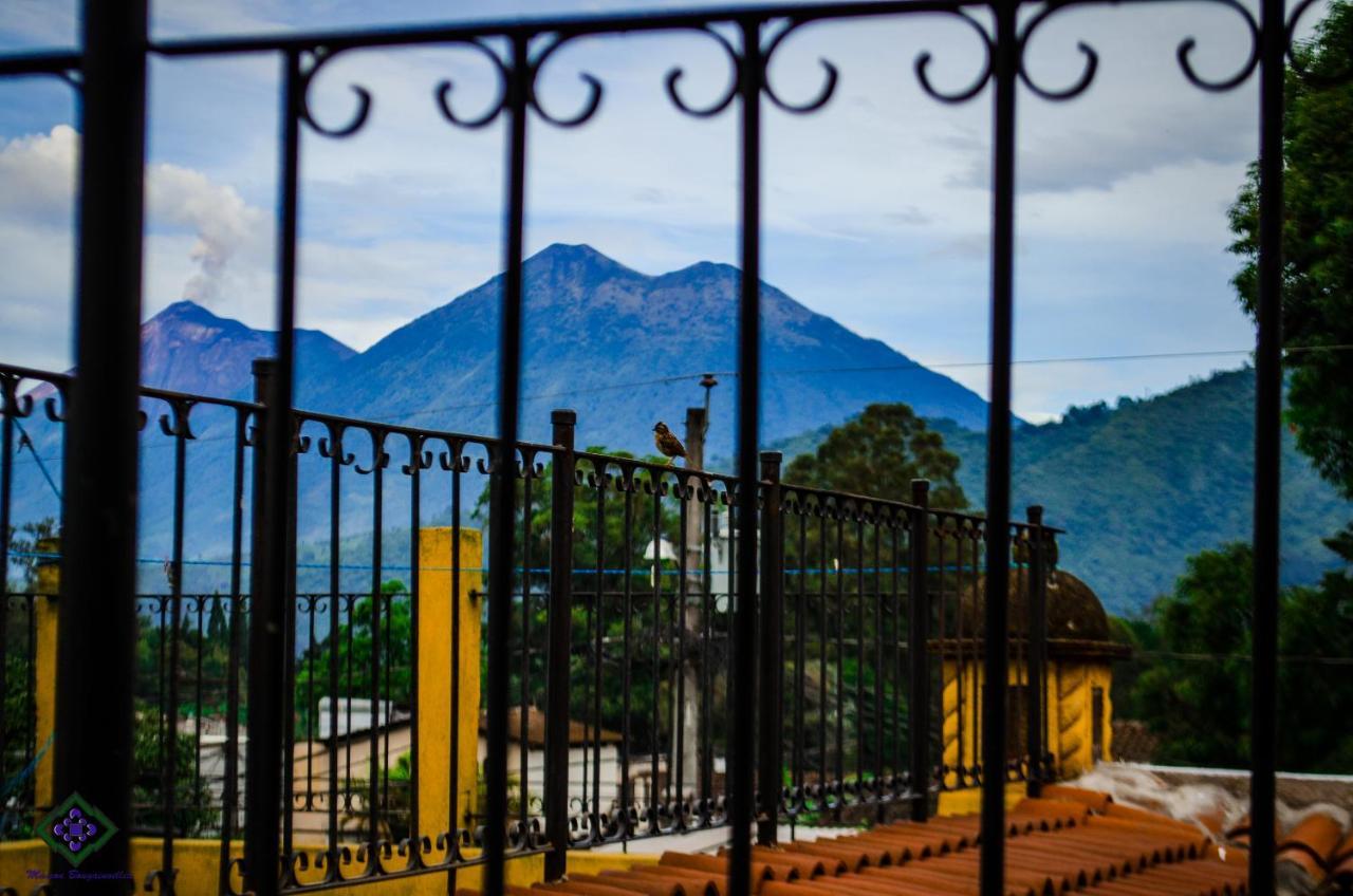 Maison Bougainvillea Antigua Zewnętrze zdjęcie