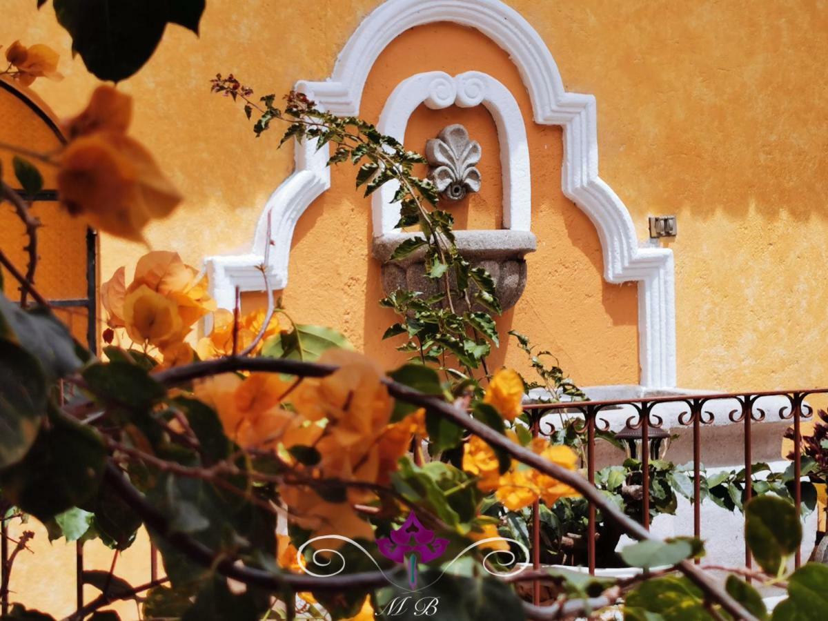 Maison Bougainvillea Antigua Zewnętrze zdjęcie