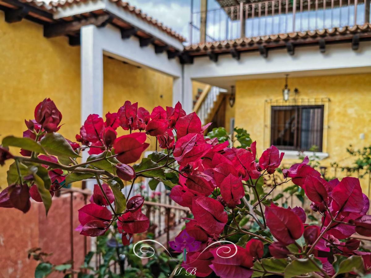 Maison Bougainvillea Antigua Zewnętrze zdjęcie