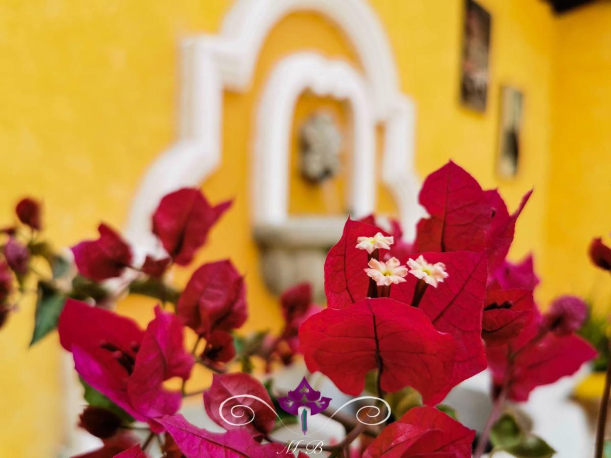 Maison Bougainvillea Antigua Zewnętrze zdjęcie